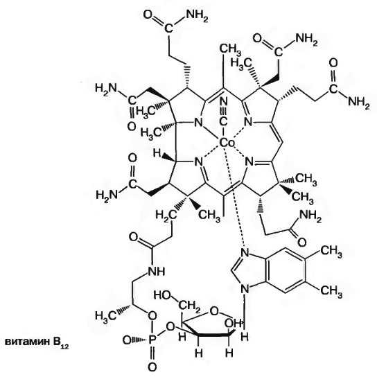 vitamin_B12.jpg