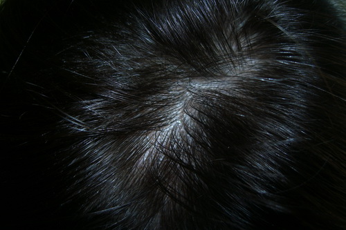 2004-01-12 01-02-57_0007.jpg