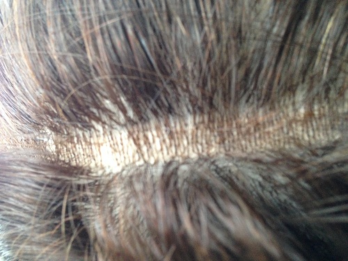 Это же надо было такое смастрячить?