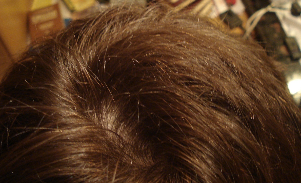 DSC08dd050.jpg