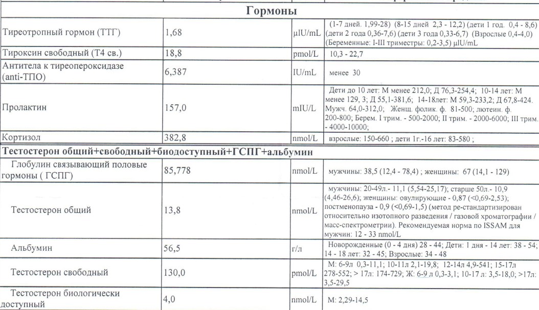 102.jpg