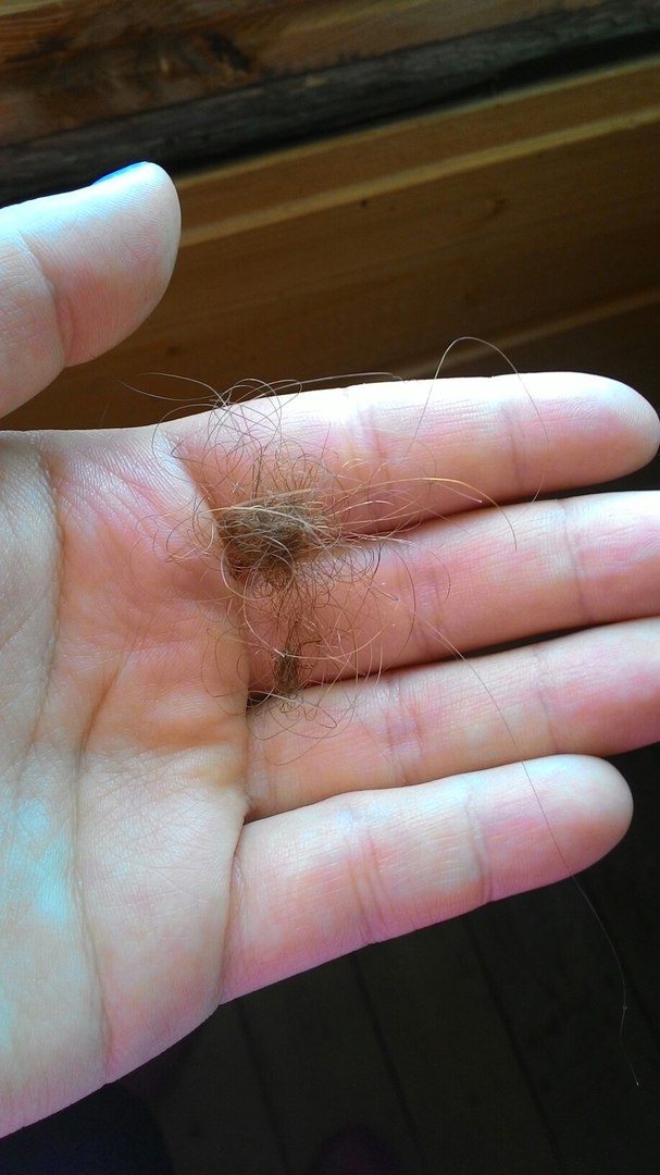 Сейчас волосы после мытья и расчесывания