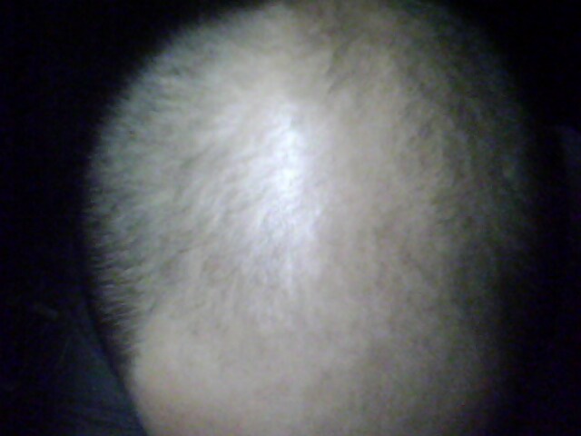 IMG0068A.jpg