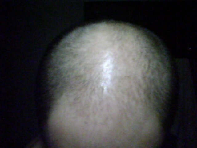 IMG0176A.jpg